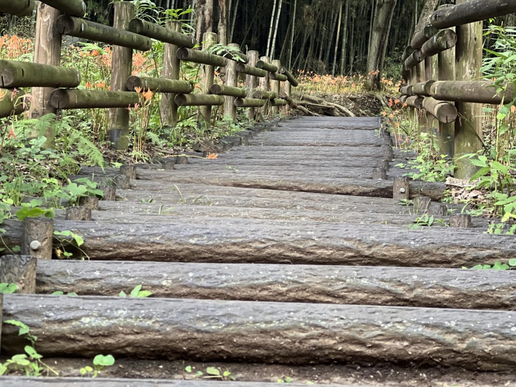 急階段　三毳山　栃木県　とちぎのしゅし
