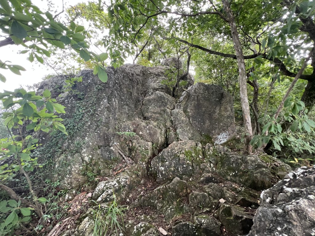 天狗岩アップ　三毳山　栃木県　とちぎのしゅし