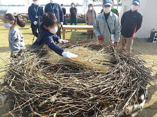 コウノトリの巣作り　渡良瀬遊水地コウノトリ交流館　とちぎのしゅし　栃木